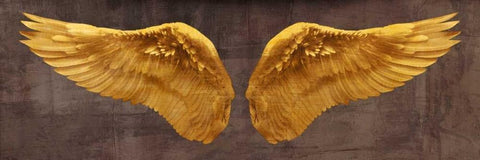 Angel Wings (Gold I) Black Ornate Wood Framed Art Print with Double Matting by Joannoo