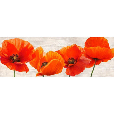 Bright Poppies Black Modern Wood Framed Art Print with Double Matting by Jenny, Thomlinson