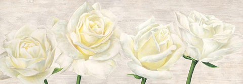Classic Roses White Modern Wood Framed Art Print with Double Matting by Jenny, Thomlinson