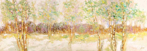 Bosco di betulle I White Modern Wood Framed Art Print with Double Matting by Lucas