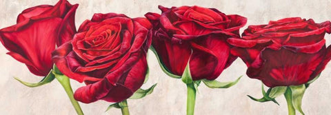 Rose romantiche White Modern Wood Framed Art Print with Double Matting by Villa, Luca