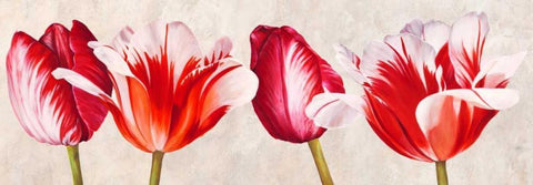 Gioiosi tulipani Black Ornate Wood Framed Art Print with Double Matting by Villa, Luca