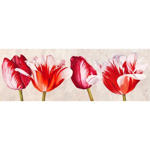 Gioiosi tulipani Black Modern Wood Framed Art Print with Double Matting by Villa, Luca