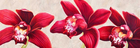 Eleganti orchidee White Modern Wood Framed Art Print with Double Matting by Villa, Luca