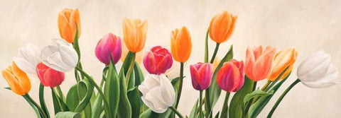 Nel mio giardino White Modern Wood Framed Art Print with Double Matting by Villa, Luca