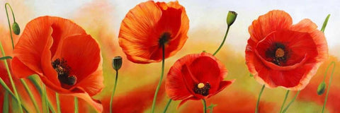 Poppies in the wind White Modern Wood Framed Art Print with Double Matting by Villa, Luca