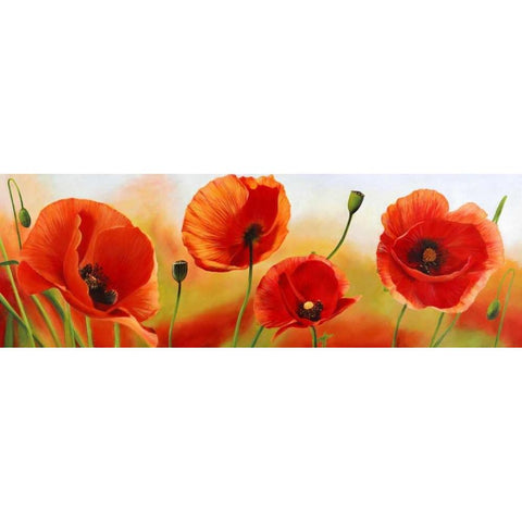 Poppies in the wind White Modern Wood Framed Art Print by Villa, Luca