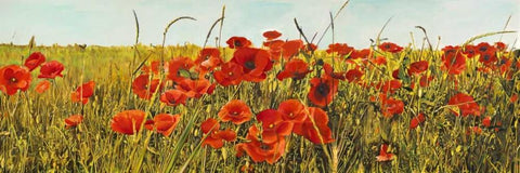 Poppy Field Black Ornate Wood Framed Art Print with Double Matting by Villa, Luca