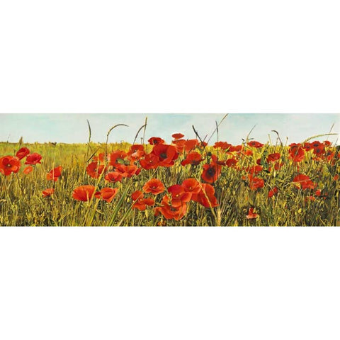 Poppy Field Black Modern Wood Framed Art Print by Villa, Luca