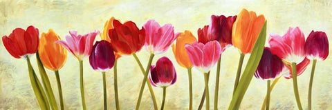 Tulip parade Black Ornate Wood Framed Art Print with Double Matting by Villa, Luca