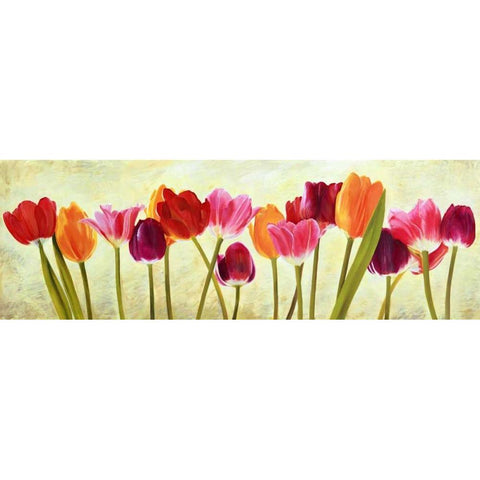 Tulip parade Black Modern Wood Framed Art Print by Villa, Luca