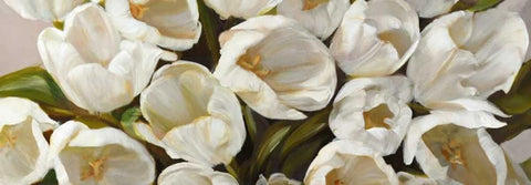 Tulipani bianchi White Modern Wood Framed Art Print with Double Matting by Sanna, Leonardo