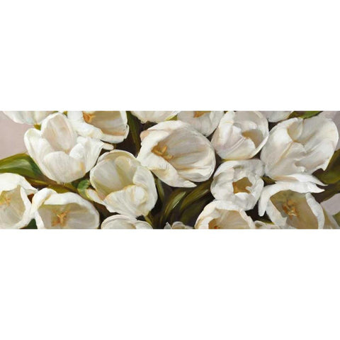 Tulipani bianchi Black Modern Wood Framed Art Print by Sanna, Leonardo