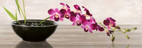 Orchid Arrangement White Modern Wood Framed Art Print with Double Matting by Mills, Shin