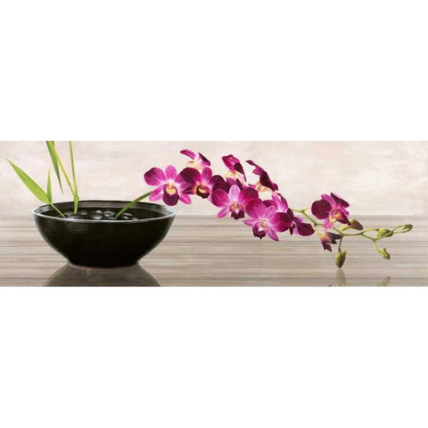 Orchid Arrangement White Modern Wood Framed Art Print by Mills, Shin