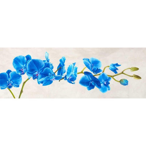 Blue Orchid White Modern Wood Framed Art Print by Mills, Shin