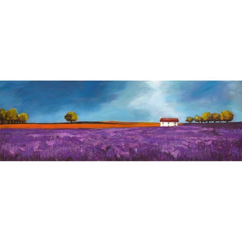Field of lavender White Modern Wood Framed Art Print by Bloom, Philip