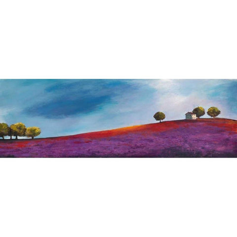 Late Afternoon White Modern Wood Framed Art Print by Bloom, Philip