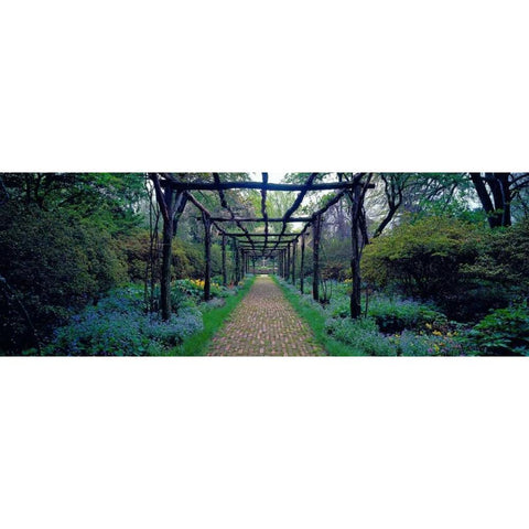 Garden path Old Westbury Gardens Long Island White Modern Wood Framed Art Print by Berenholtz, Richard