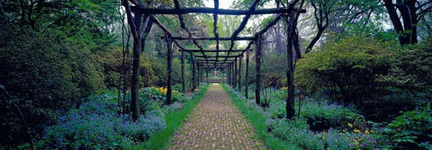 Garden path Old Westbury Gardens Long Island Black Ornate Wood Framed Art Print with Double Matting by Berenholtz, Richard