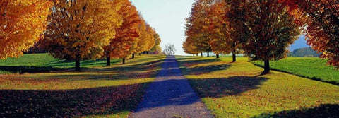 Autumn Road Storm King Mountain New York White Modern Wood Framed Art Print with Double Matting by Berenholtz, Richard