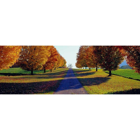 Autumn Road Storm King Mountain New York Gold Ornate Wood Framed Art Print with Double Matting by Berenholtz, Richard
