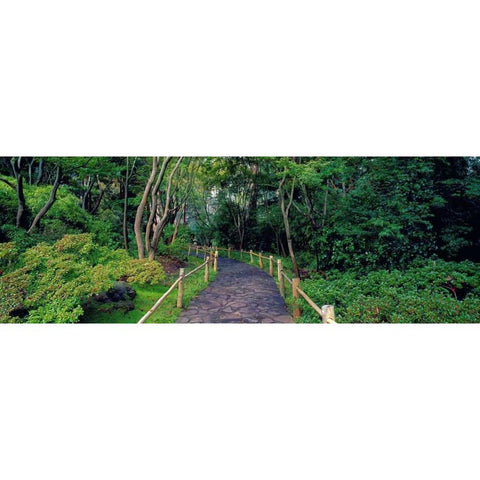 Tea Garden Walkway San Francisco Botanical Gardens White Modern Wood Framed Art Print by Berenholtz, Richard