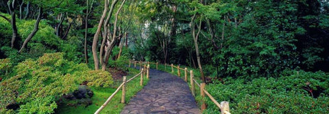 Tea Garden Walkway San Francisco Botanical Gardens White Modern Wood Framed Art Print with Double Matting by Berenholtz, Richard