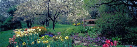 Country garden Old Westbury Gardens Long Island Black Ornate Wood Framed Art Print with Double Matting by Berenholtz, Richard