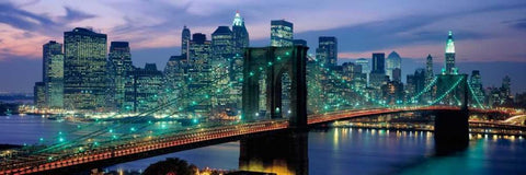 Brooklyn Bridge and Skyline Black Ornate Wood Framed Art Print with Double Matting by Berenholtz, Richard