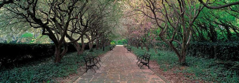 Through Conservatory Garden Central Park NYC Black Ornate Wood Framed Art Print with Double Matting by Berenholtz, Richard