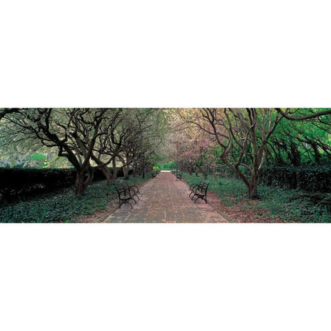 Through Conservatory Garden Central Park NYC Black Modern Wood Framed Art Print with Double Matting by Berenholtz, Richard
