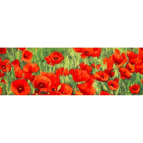 Poppy Field Black Modern Wood Framed Art Print with Double Matting by Mei, Silvia