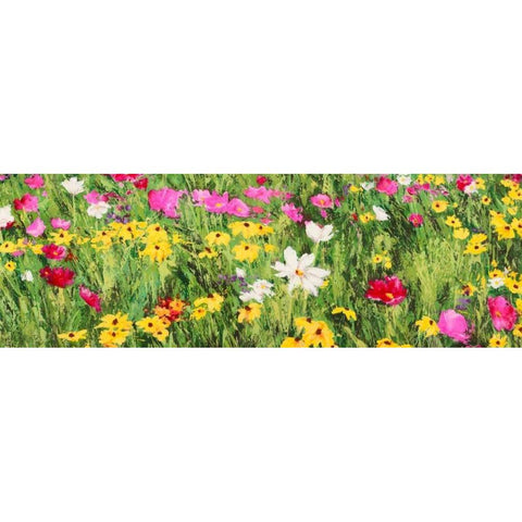 Field of Flowers Gold Ornate Wood Framed Art Print with Double Matting by Mei, Silvia