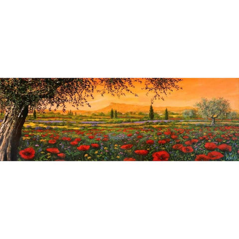 Pianura in fiore Black Modern Wood Framed Art Print with Double Matting by Marzari, Tebo