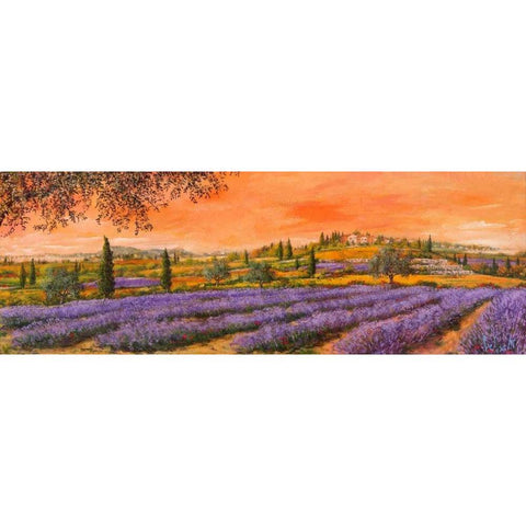 Filari di lavanda Black Modern Wood Framed Art Print with Double Matting by Marzari, Tebo