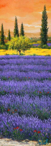 Pomeriggio tra la lavanda White Modern Wood Framed Art Print with Double Matting by Marzari, Tebo
