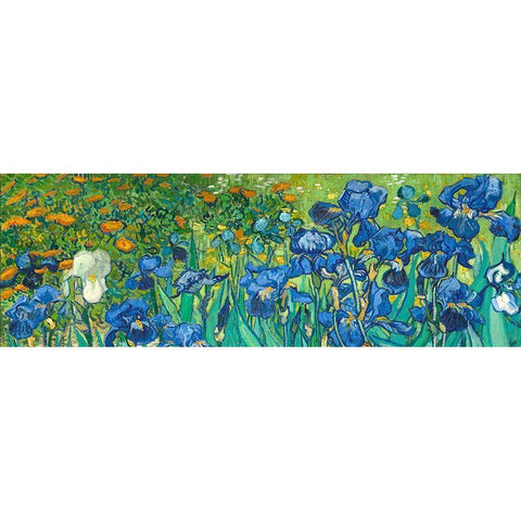 Irises (detail) Gold Ornate Wood Framed Art Print with Double Matting by van Gogh, Vincent