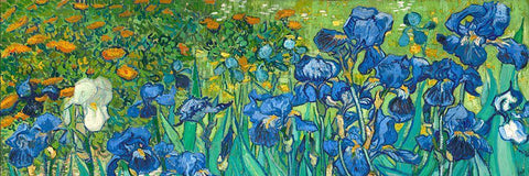 Irises (detail) White Modern Wood Framed Art Print with Double Matting by van Gogh, Vincent