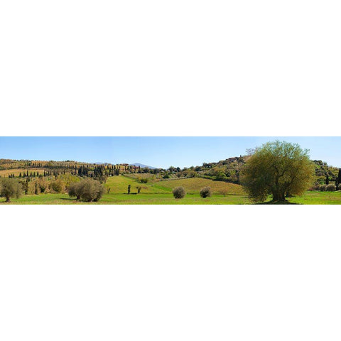 Val dOrcia-Siena-Tuscany Gold Ornate Wood Framed Art Print with Double Matting by Pangea Images