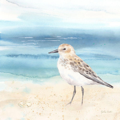 By the Seashore XIV Black Modern Wood Framed Art Print by Coulter, Cynthia