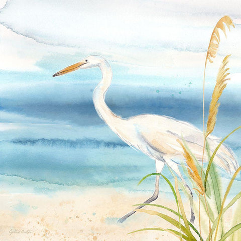 By the Seashore XVI White Modern Wood Framed Art Print by Coulter, Cynthia
