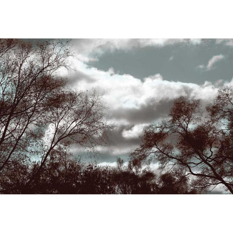 Looking Upward Black Modern Wood Framed Art Print by Romita, Denise