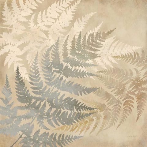 Majestic Ferns I White Modern Wood Framed Art Print by Coulter, Cynthia