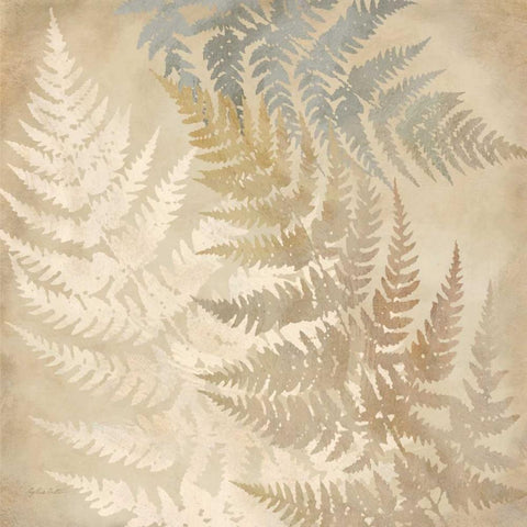 Majestic Ferns II White Modern Wood Framed Art Print by Coulter, Cynthia