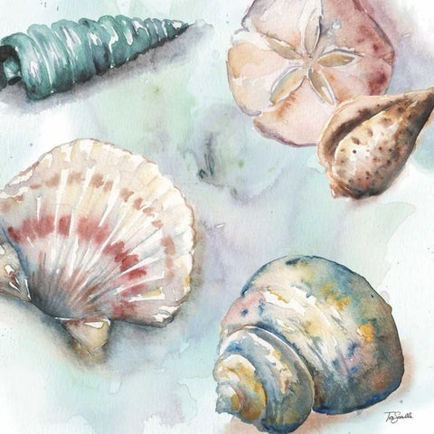 Watercolor Shell Toss I White Modern Wood Framed Art Print by Tre Sorelle Studios