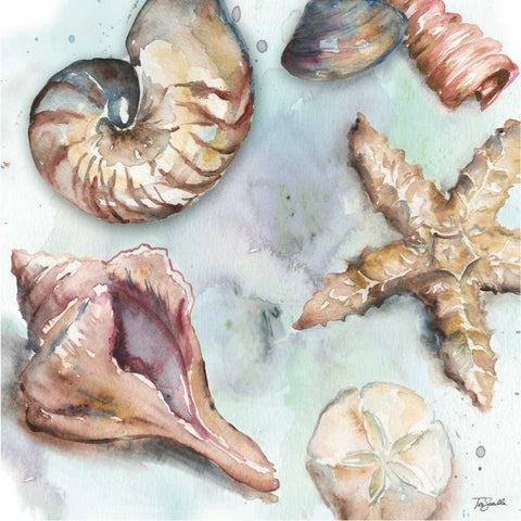 Watercolor Shell Toss II Black Ornate Wood Framed Art Print with Double Matting by Tre Sorelle Studios