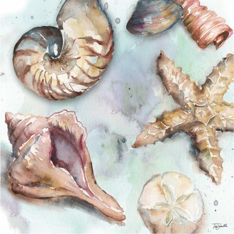Watercolor Shell Toss II Gold Ornate Wood Framed Art Print with Double Matting by Tre Sorelle Studios