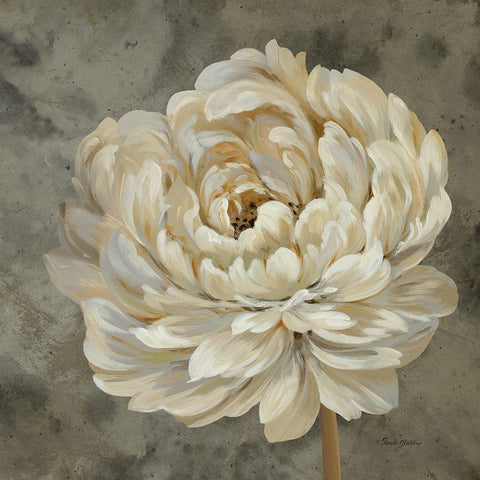 Pearl Grey Floral Study III Gold Ornate Wood Framed Art Print with Double Matting by Gladding, Pamela