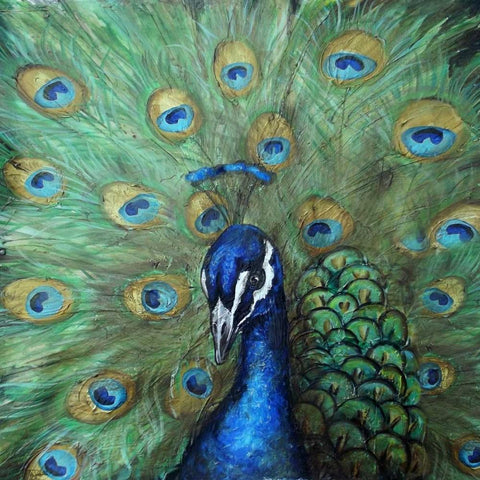 Painted Peacock White Modern Wood Framed Art Print by Tre Sorelle Studios